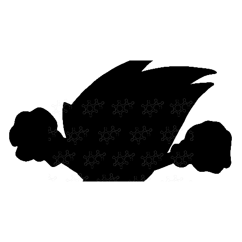 Sonic corre