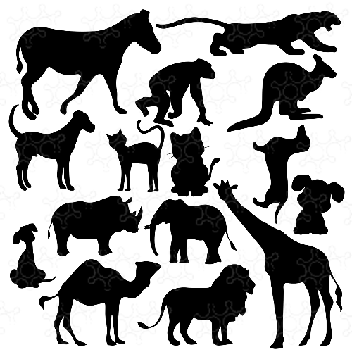 Animali silhouette